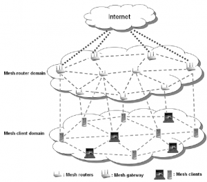 fig1-mesh
